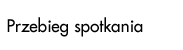 Przebieg spotkania