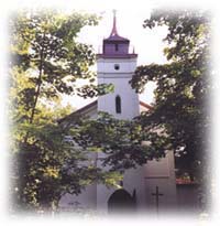 Koci
